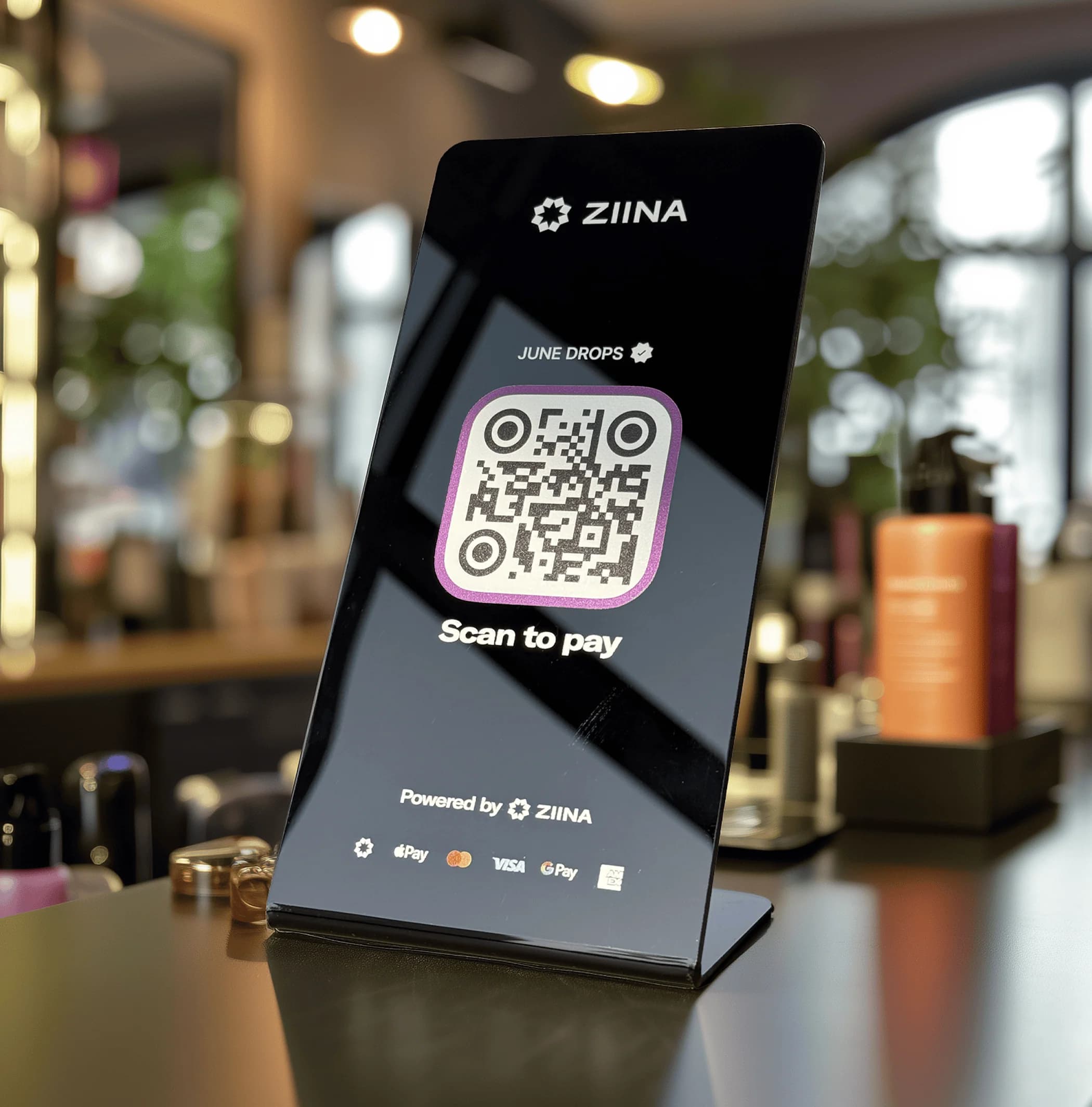 Accept Payments