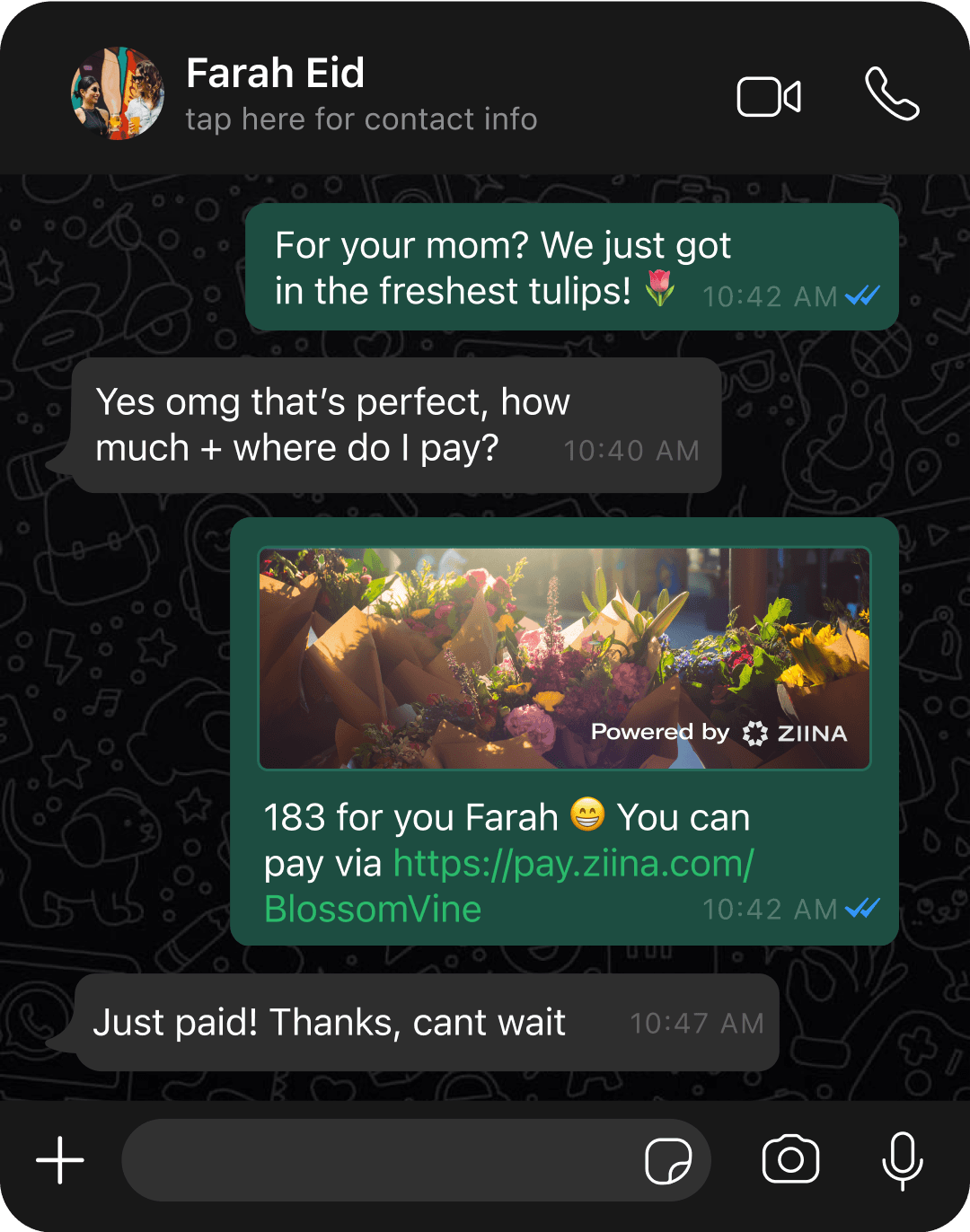 محادثة واتساب